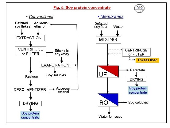 Soy Protein Vs Soy Protein Isolate: What's The Difference And How